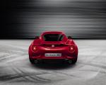 Alfa Romeo 4C 2013 года (WW)
